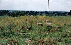 מראה מבפנים - בית הקברות היהודי העתיק ברוז'ישץ'