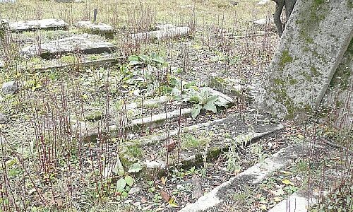 L0_0550_0300_P1020617