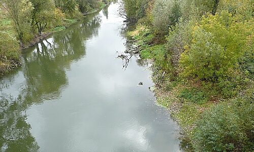 L0_0550_0300_P1020627
